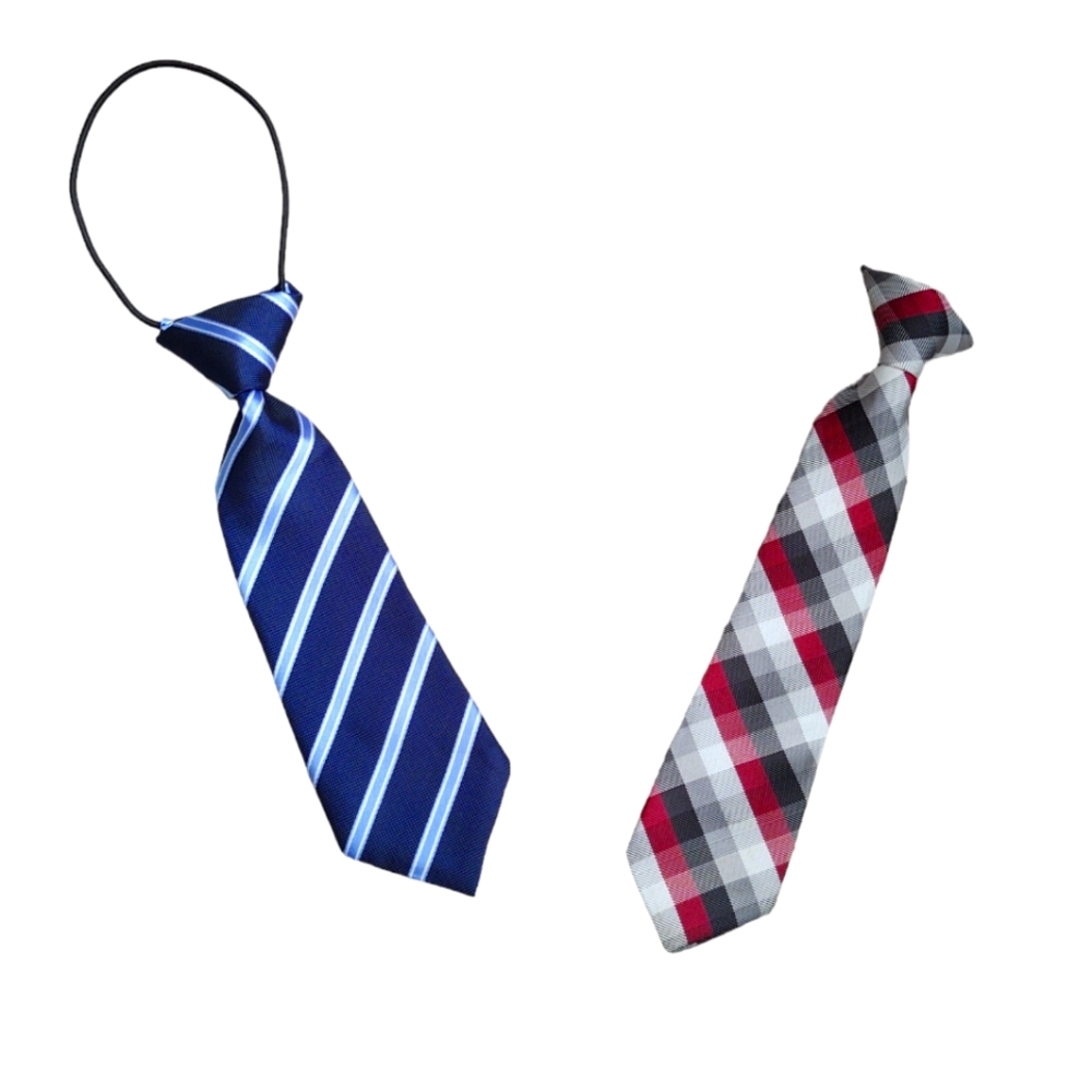 EUC Bundle of 2 Boys Ties